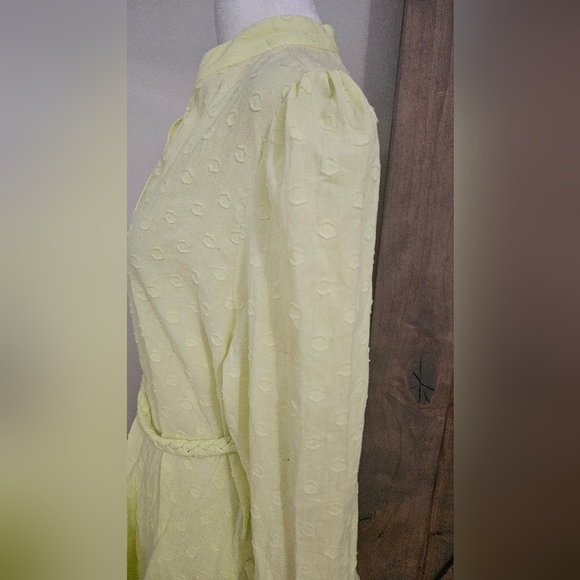 THE SHIRT by ROCHELLE BEHRENS The Jenica Dress In Yellow. Size L NWT - Picture 14 of 16